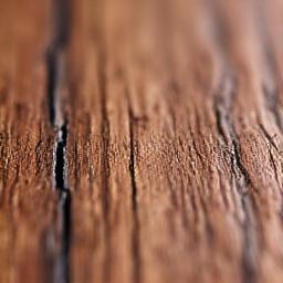 Close-up of Tasmanian Oak wood grain.